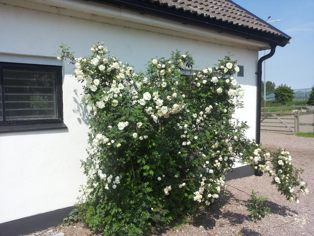 Laegenhet Lillisgarden Guest House Vallåkra Exterior photo