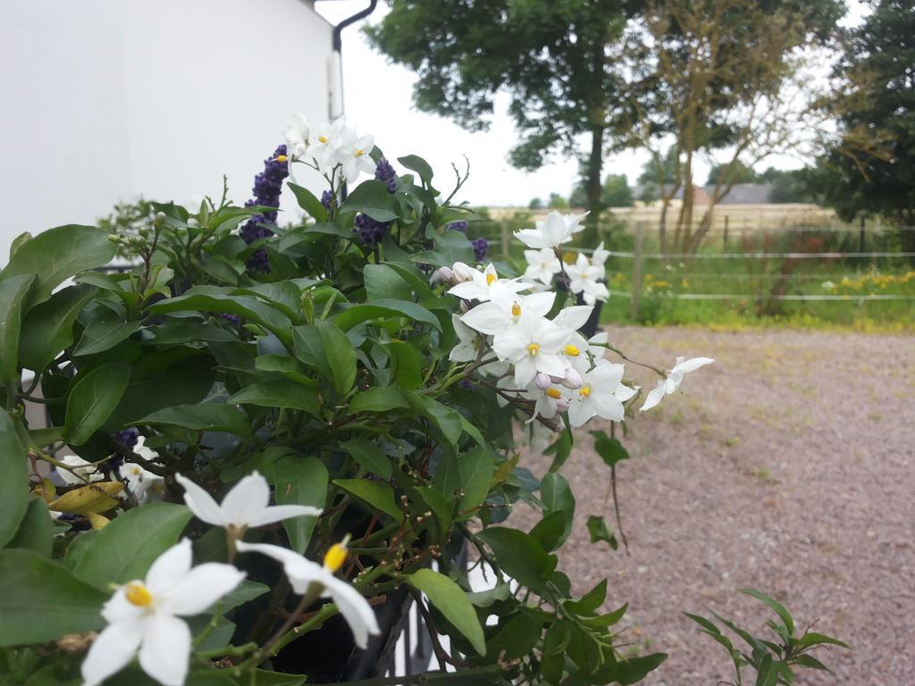 Laegenhet Lillisgarden Guest House Vallåkra Exterior photo