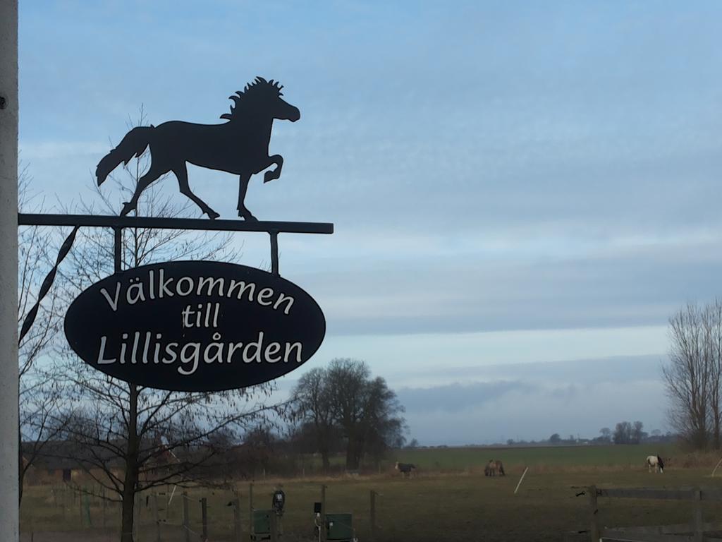 Laegenhet Lillisgarden Guest House Vallåkra Exterior photo